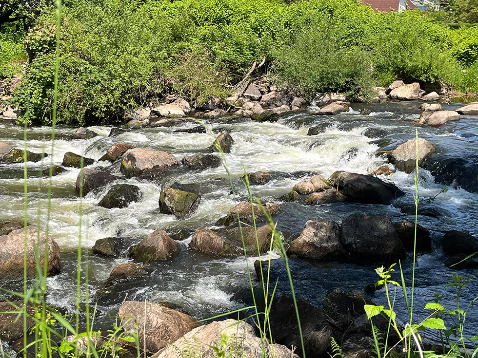 Das fließende Wasser des Weihers in der Nähe des Birkenhofs an einem schönen Sommertag