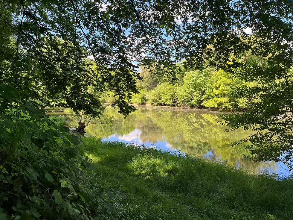 Das Ufer des Weihers am Birkenhof Körprich zum Entspannen