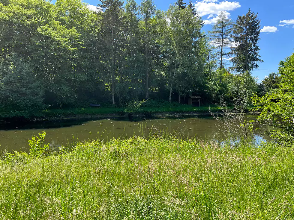 Das Ufer des Weihers am Birkenhof Körprich lädt zum verweilen ein