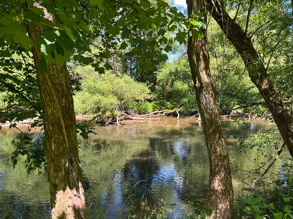 Der Weiher in der Nähe des Birkenhofs an einem schönen Sommertag